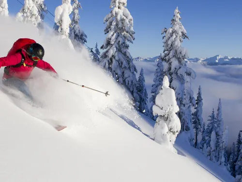Skier in powder at Kicking Horse