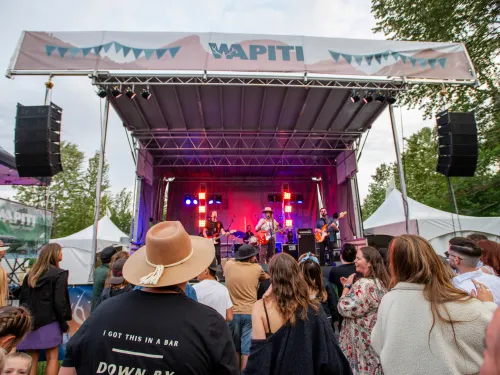 Audience at Wapiti Music Festival, Fernie BC