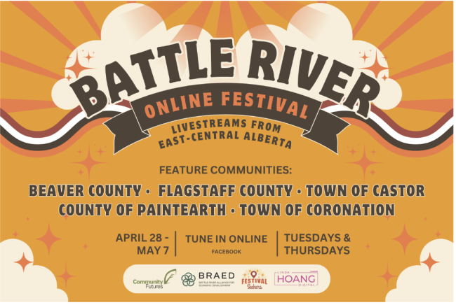 poster for BRAED online festival